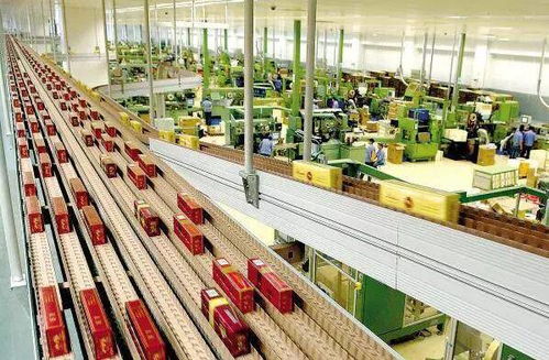 高考倒計(jì)時(shí)50天，揭秘那些冷門(mén)但潛力無(wú)限的“技術(shù)+服務(wù)”專(zhuān)業(yè)