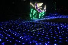 璀璨平?jīng)?三千萬盞彩燈編織夢(mèng)幻光影世界